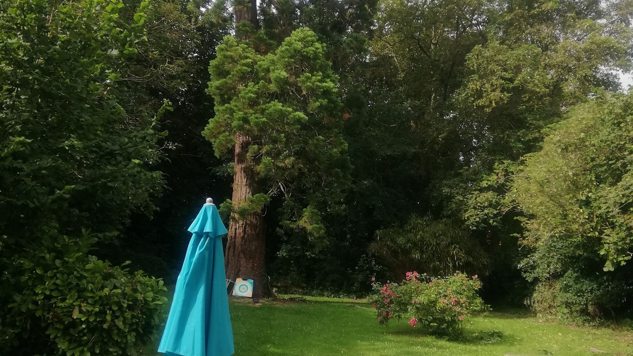 Photo of Outdoor in Saint-Contest