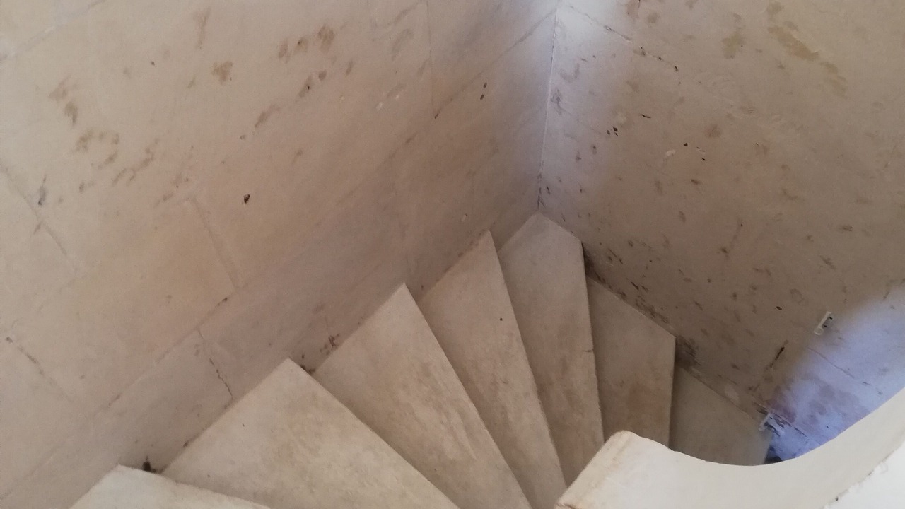 Photo of Others in Saint-Contest