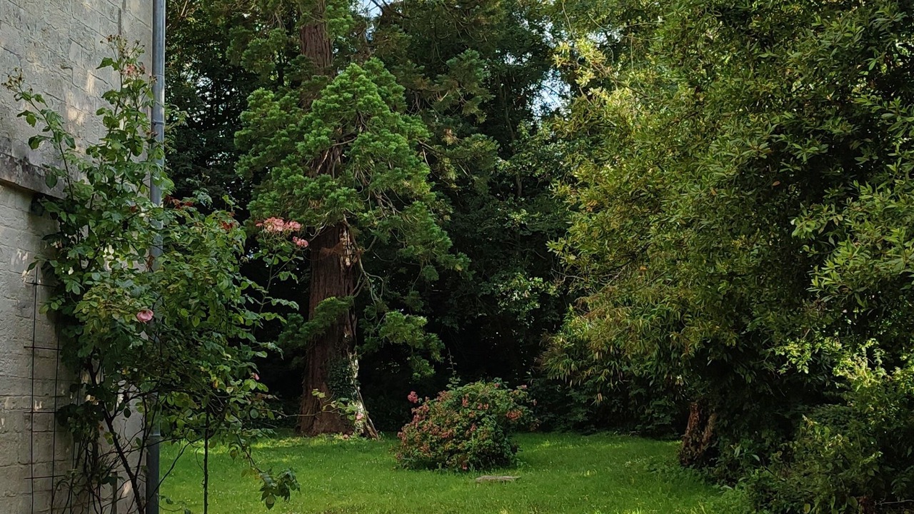Photo of Outdoor in Saint-Contest