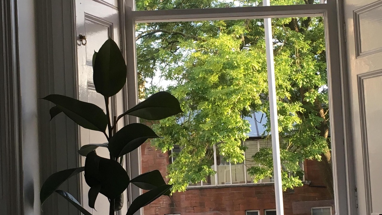 Photo of Others in Ayr