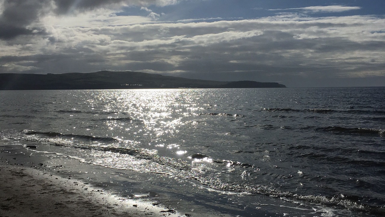 Photo of Others in Ayr