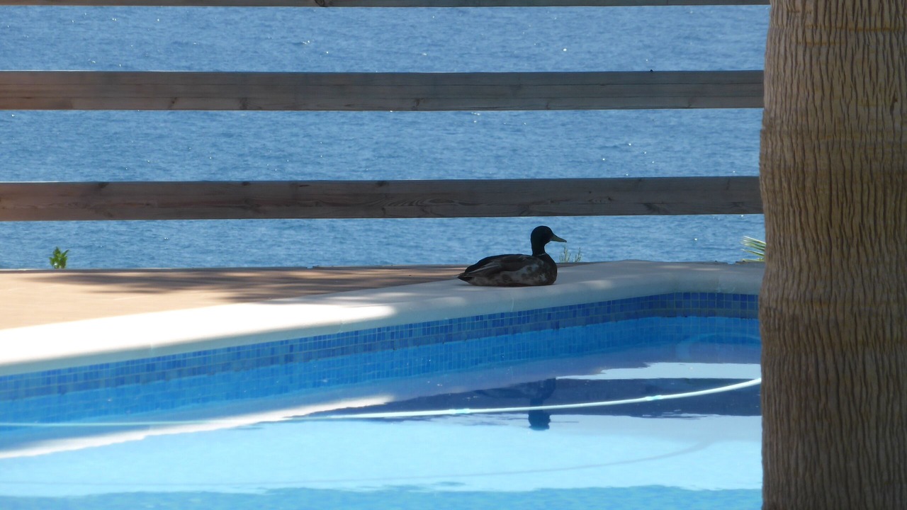 Photo of Outdoor in Benalmadena Costa