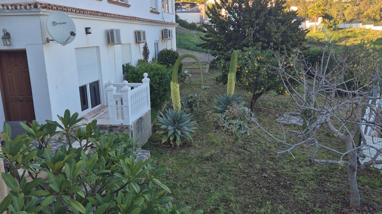 Photo of Others in Benalmadena Costa