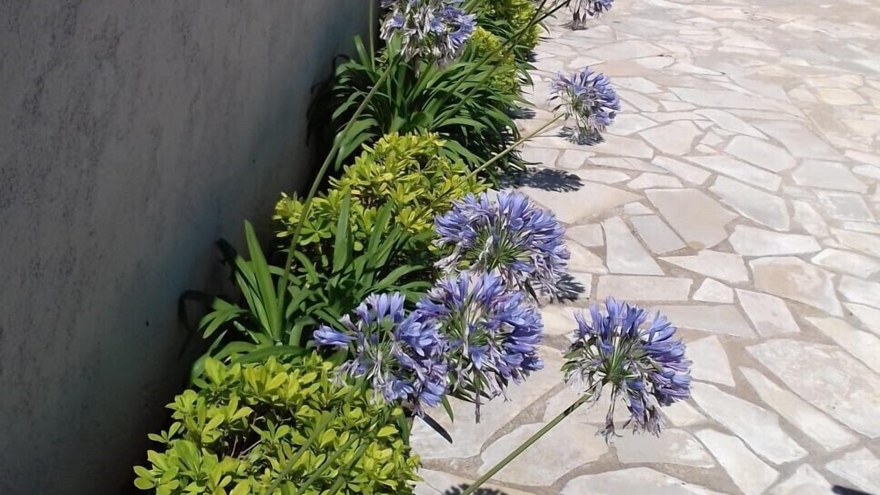 Photo of Outdoor in Ramatuelle