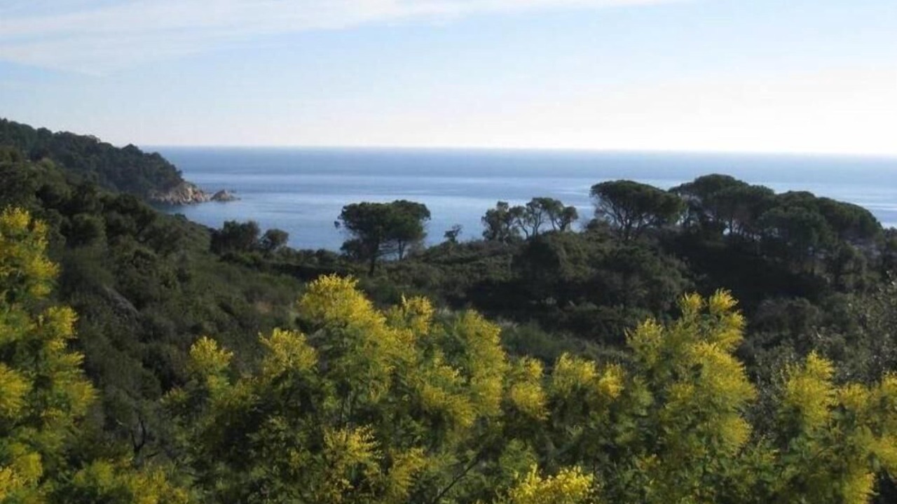 Photo of Others in Ramatuelle