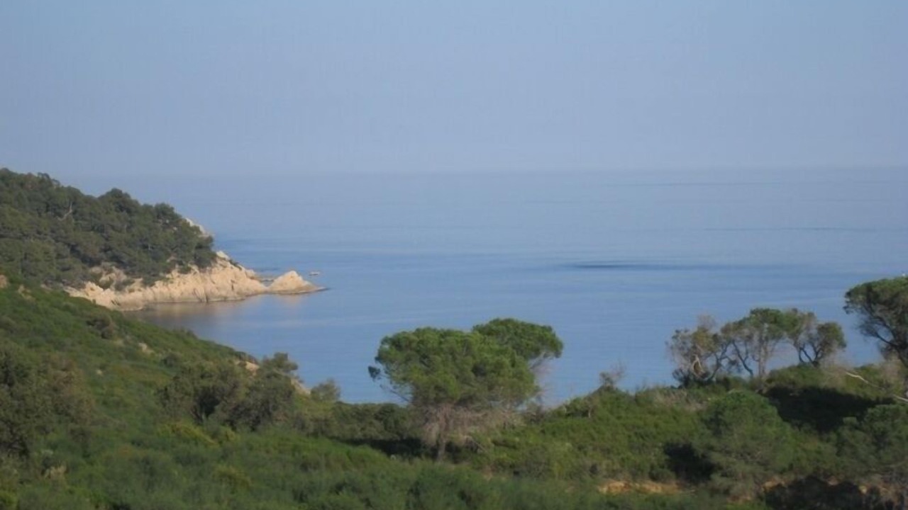 Photo of Others in Ramatuelle