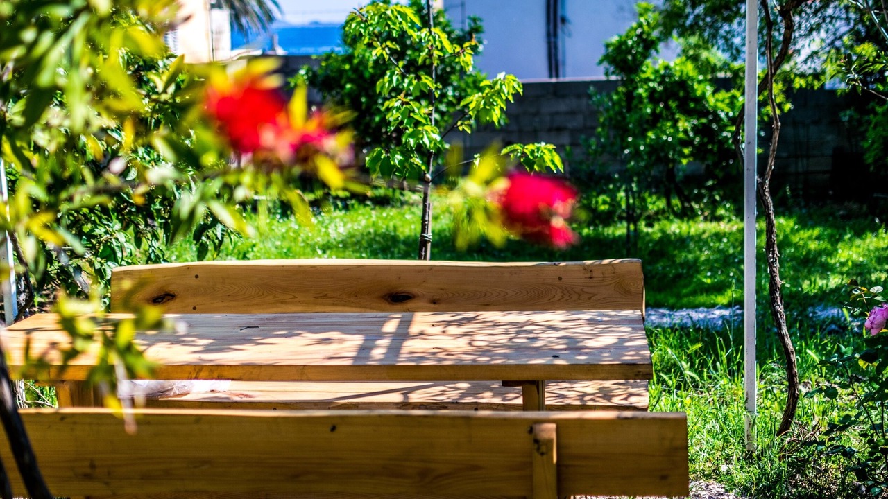 Photo of Outdoor in Orebic