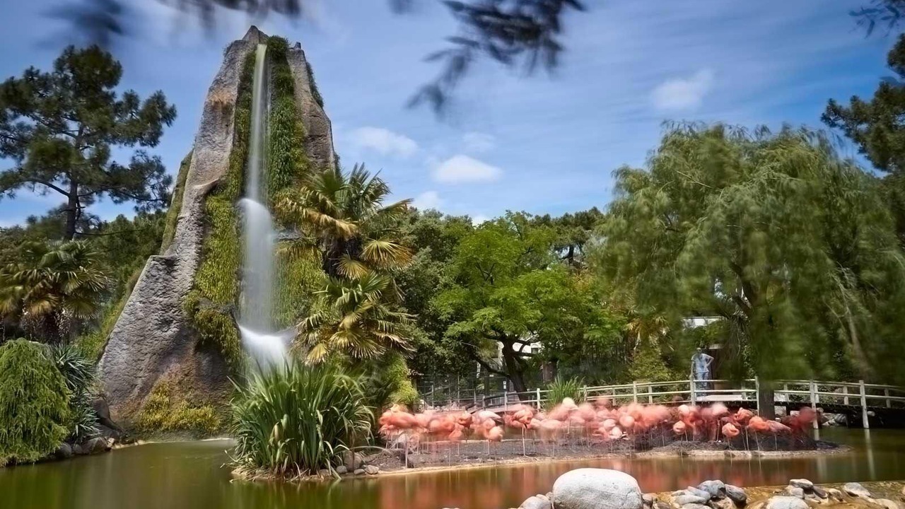 Photo of Others in Arvert