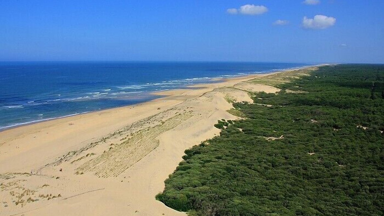 Photo of Others in Arvert