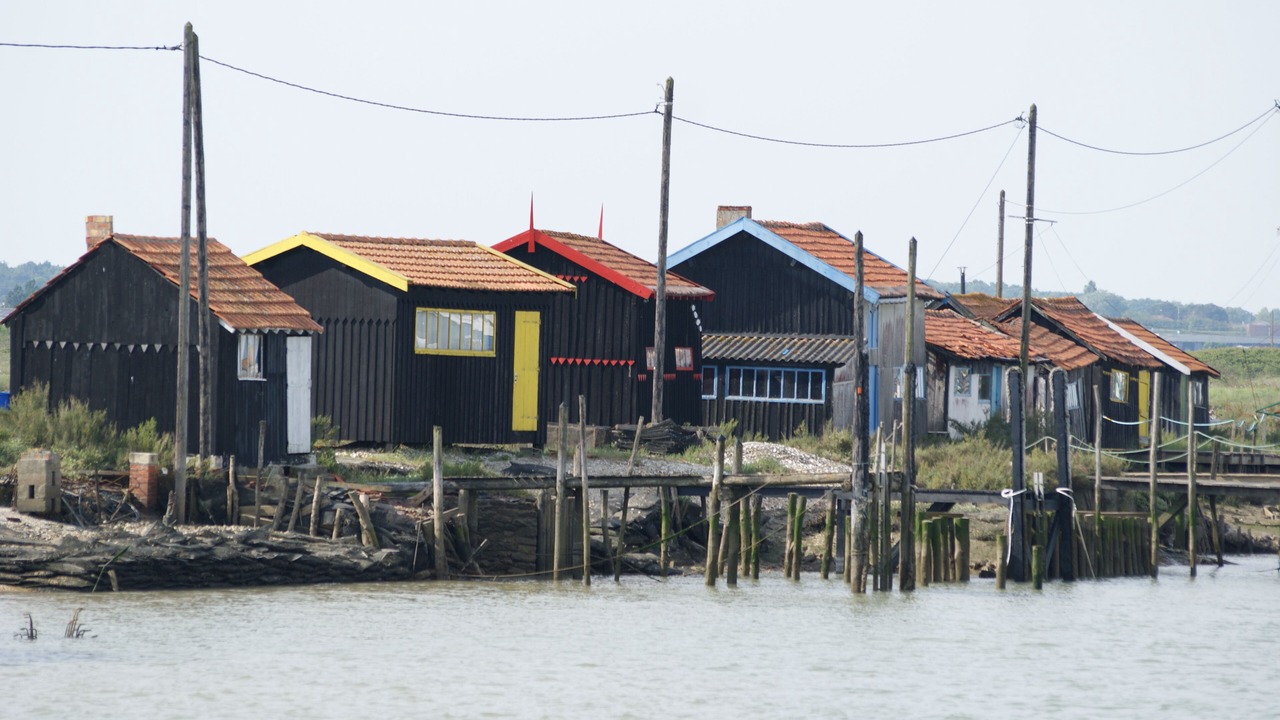 Photo of Outdoor in Arvert