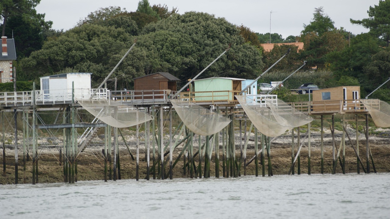 Photo of Outdoor in Arvert