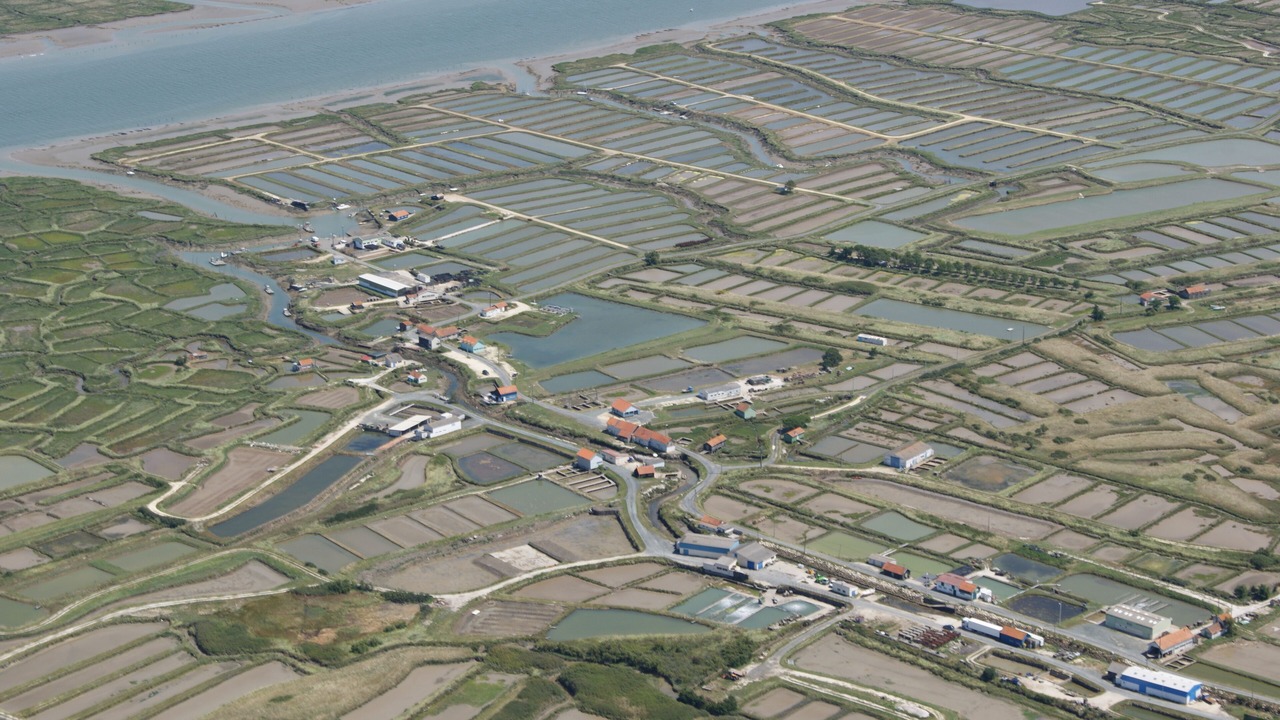 Photo of Outdoor in Arvert