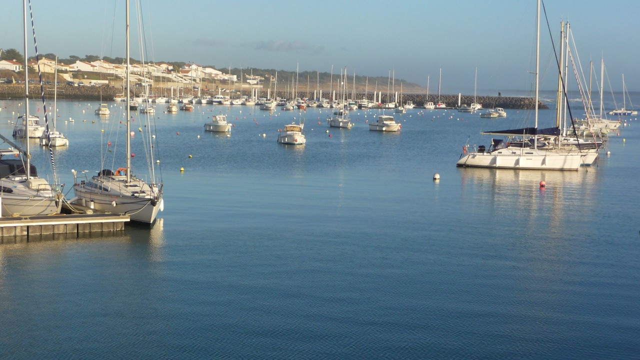 Photo of Others in Saint-Vincent-sur-Jard