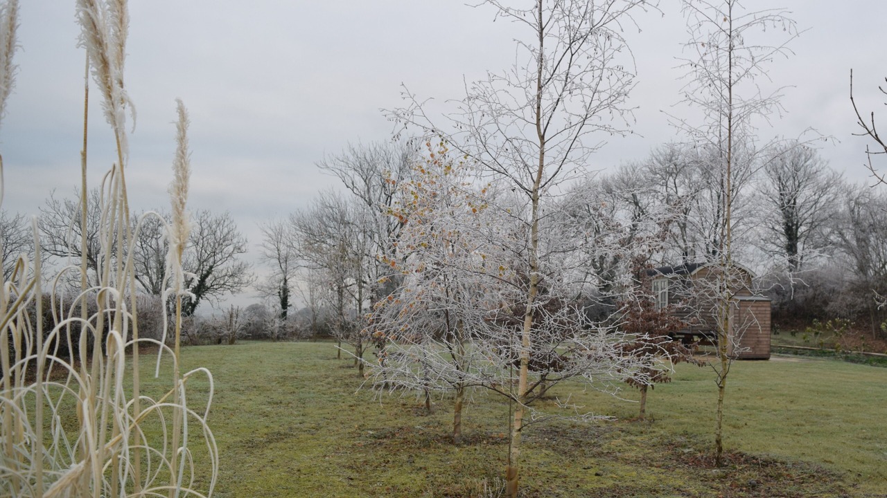 Photo of Others in Wedmore