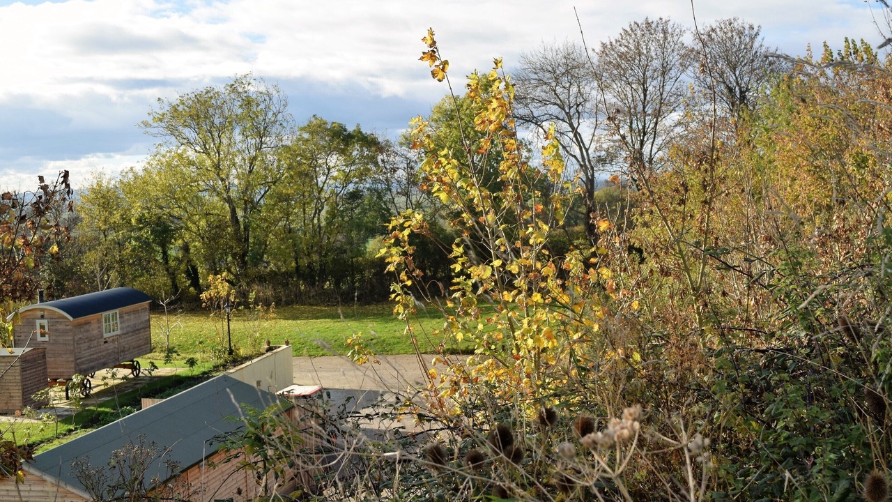 Photo of Others in Wedmore