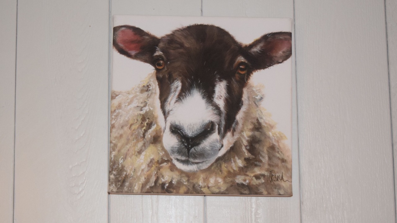 Photo of Others in Wedmore