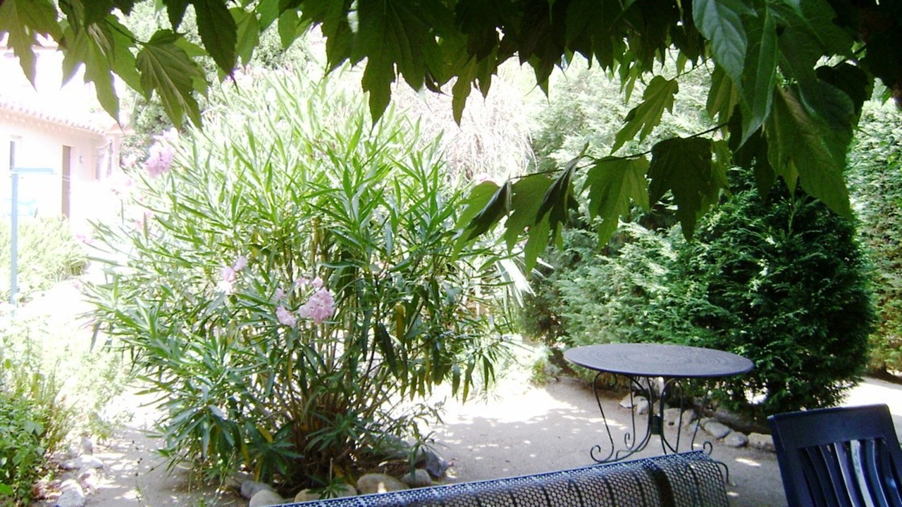Photo of Outdoor in Collioure