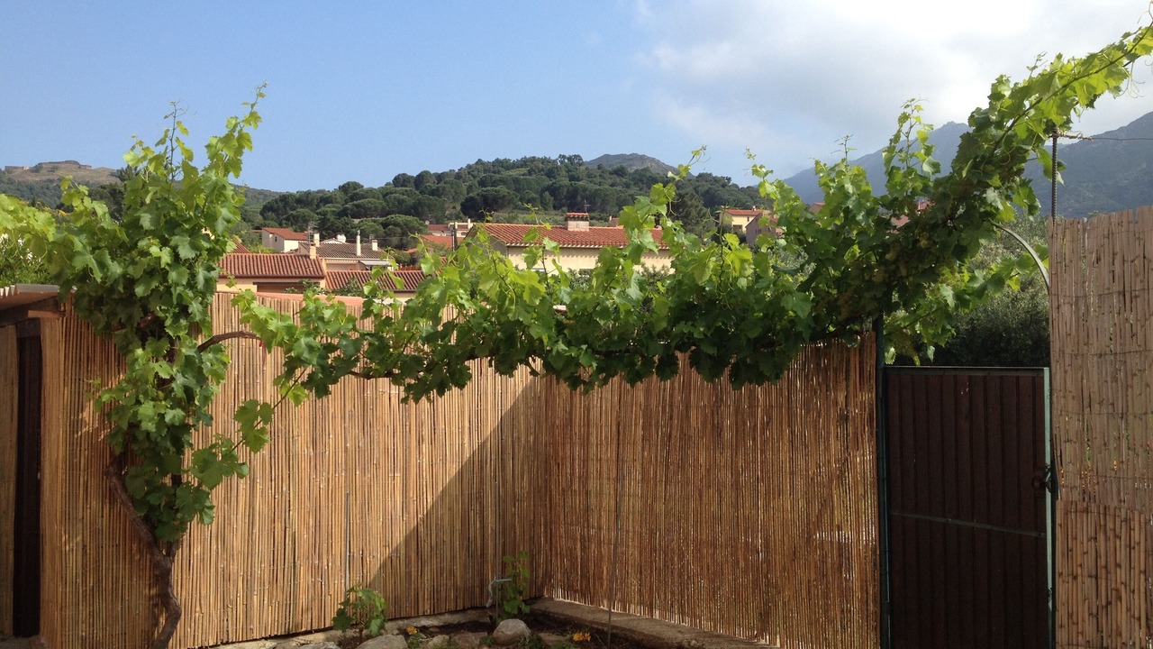Photo of Outdoor in Collioure
