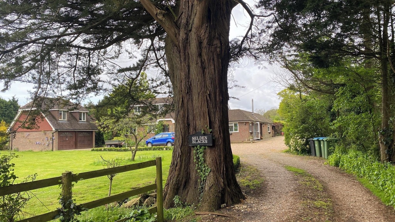 Photo of Outdoor in Patching