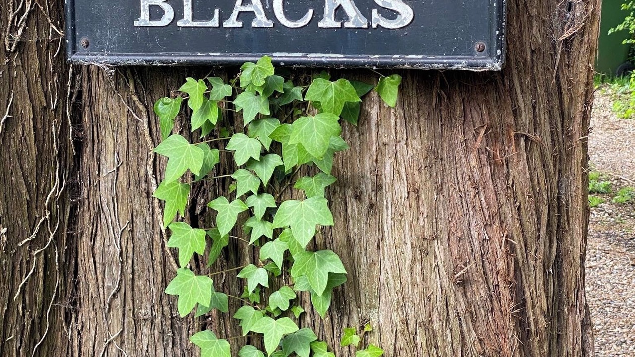 Photo of Outdoor in Patching