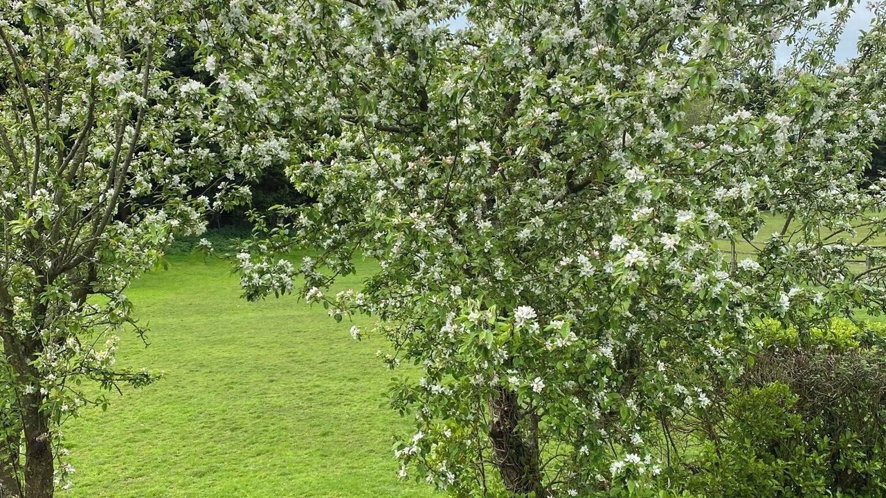 Photo of Outdoor in Patching