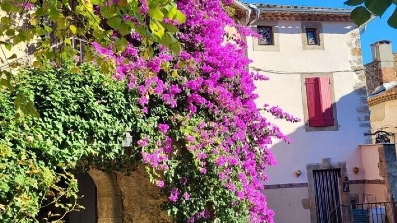 Photo of Outdoor in Ornaisons