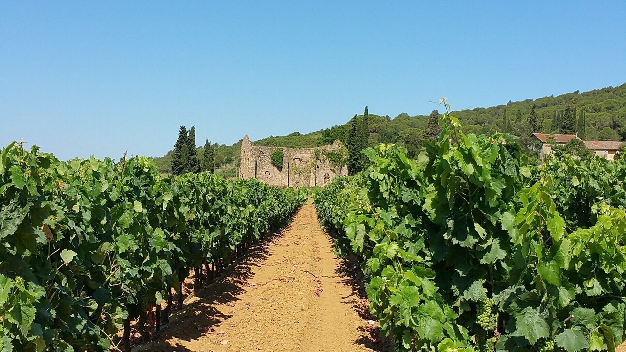 Photo of Others in Ornaisons