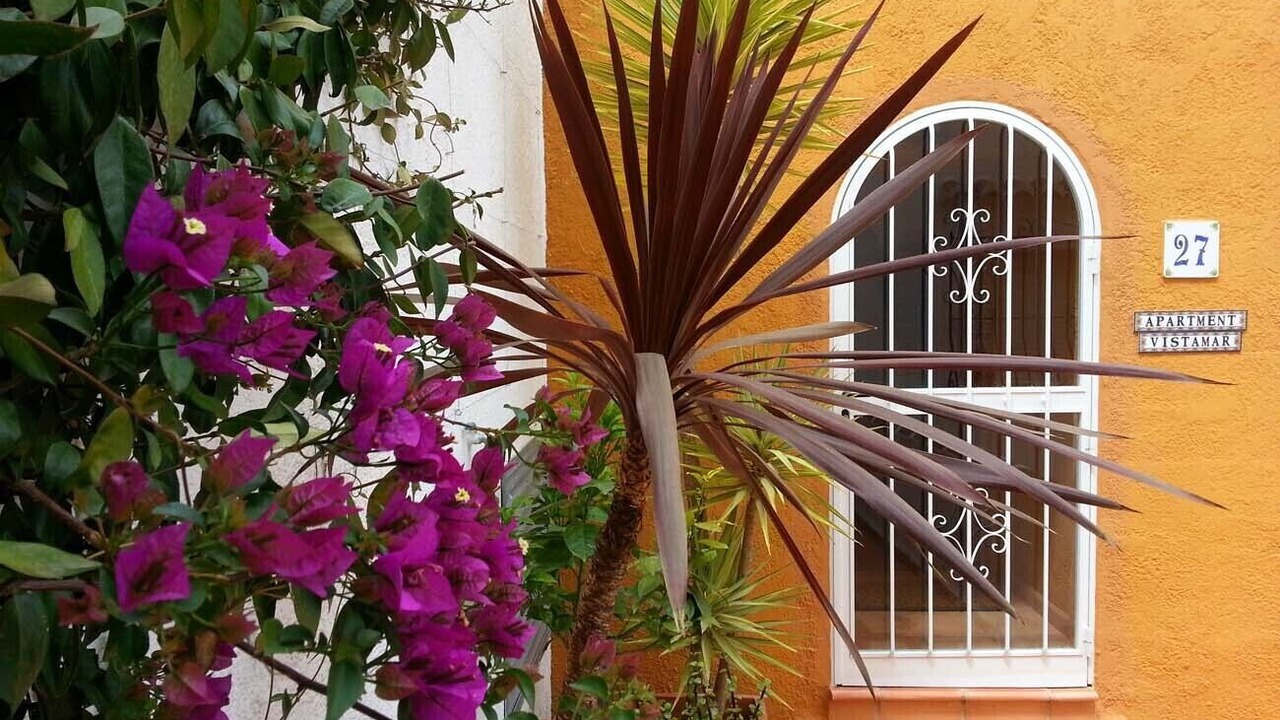 Photo of Outdoor in Cumbre del Sol