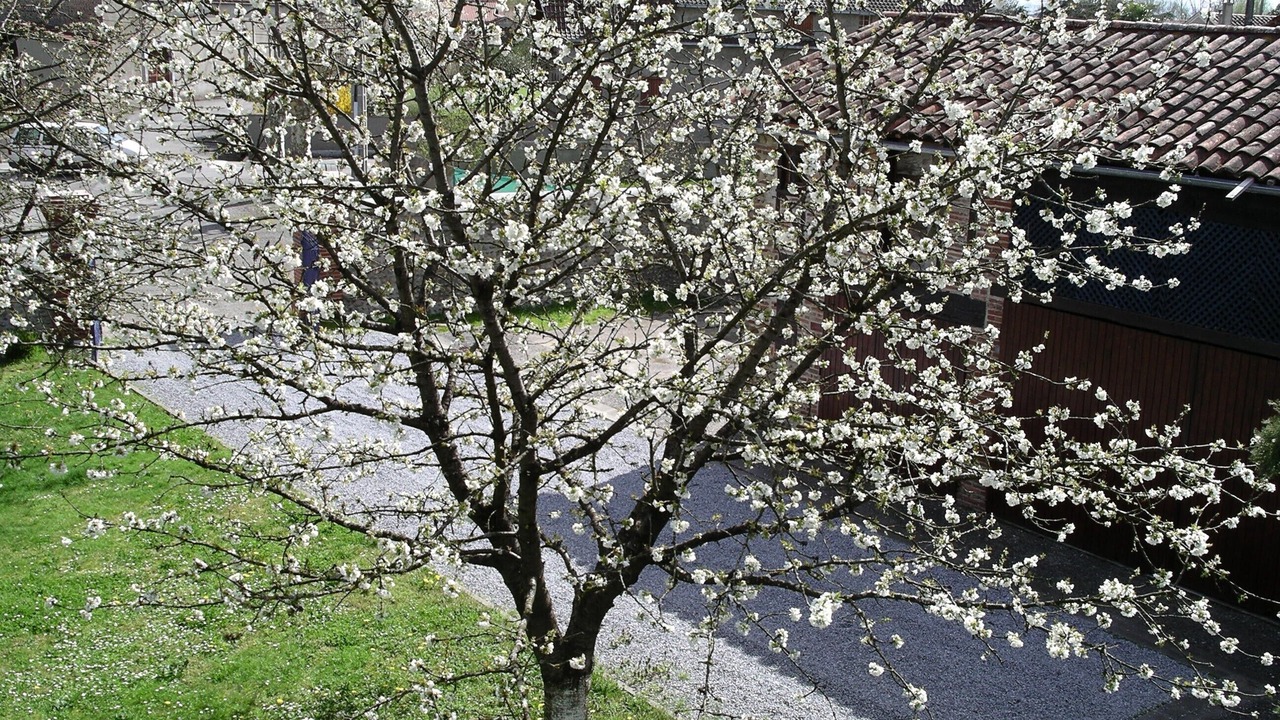 Photo of Outdoor in Caixon