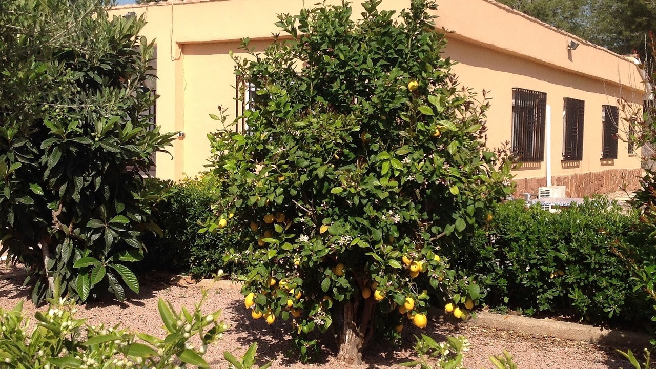 Photo of Outdoor in Godelleta