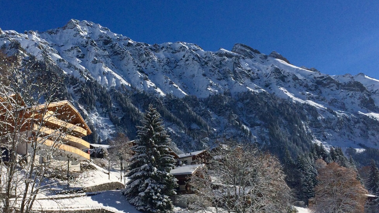Photo of Others in Wengen