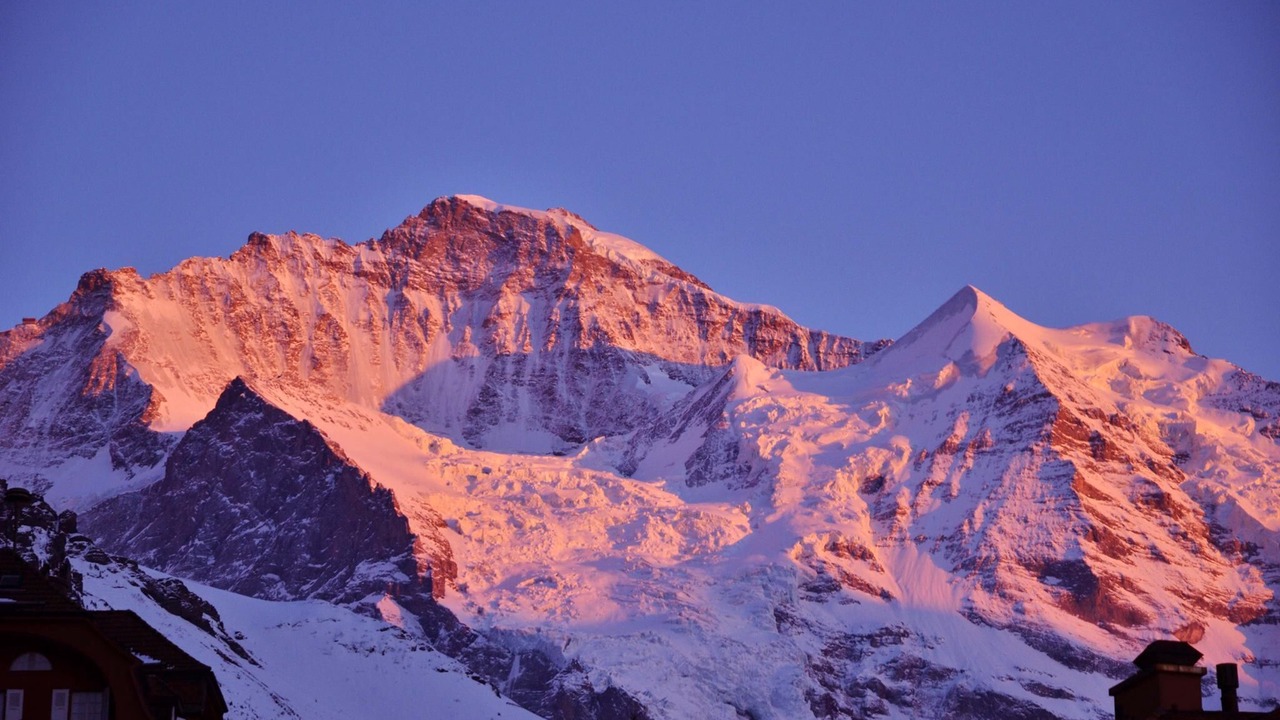 Photo of Others in Wengen