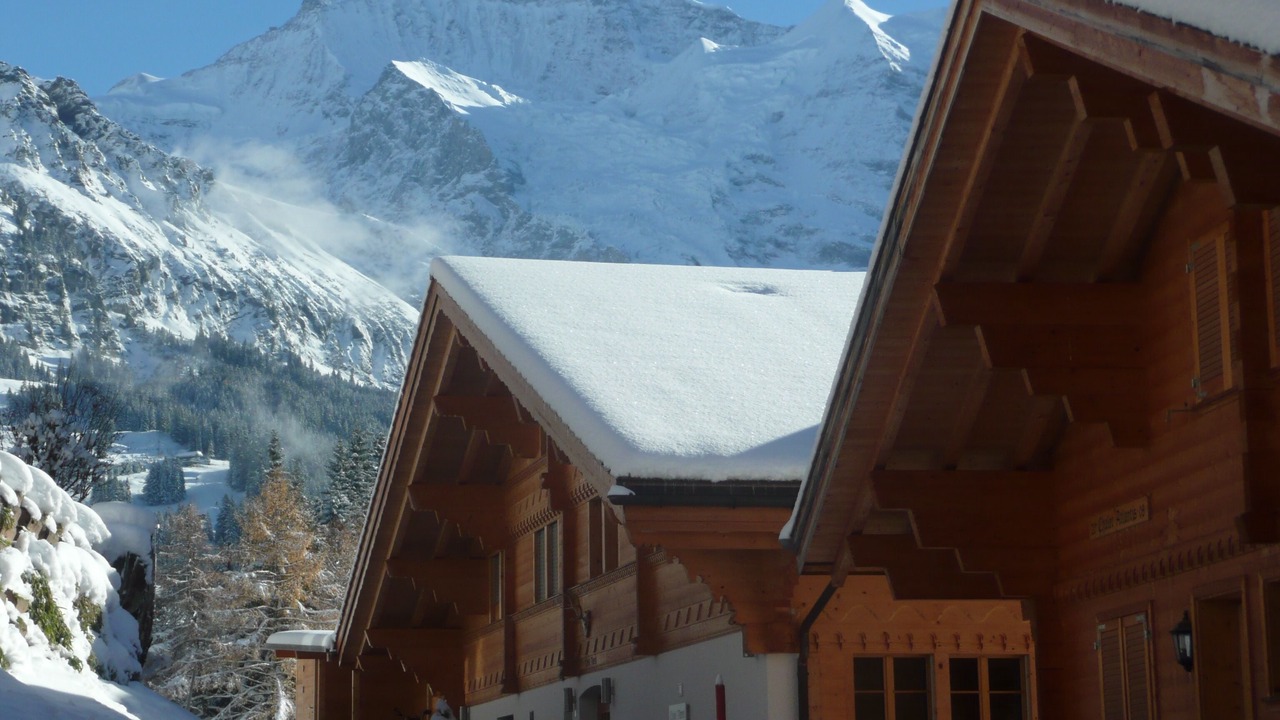 Photo of Outdoor in Wengen