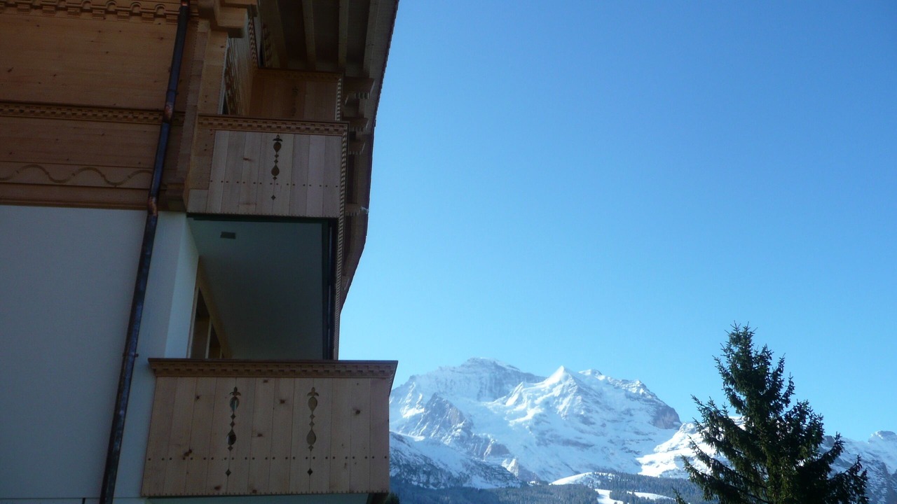 Photo of Others in Wengen