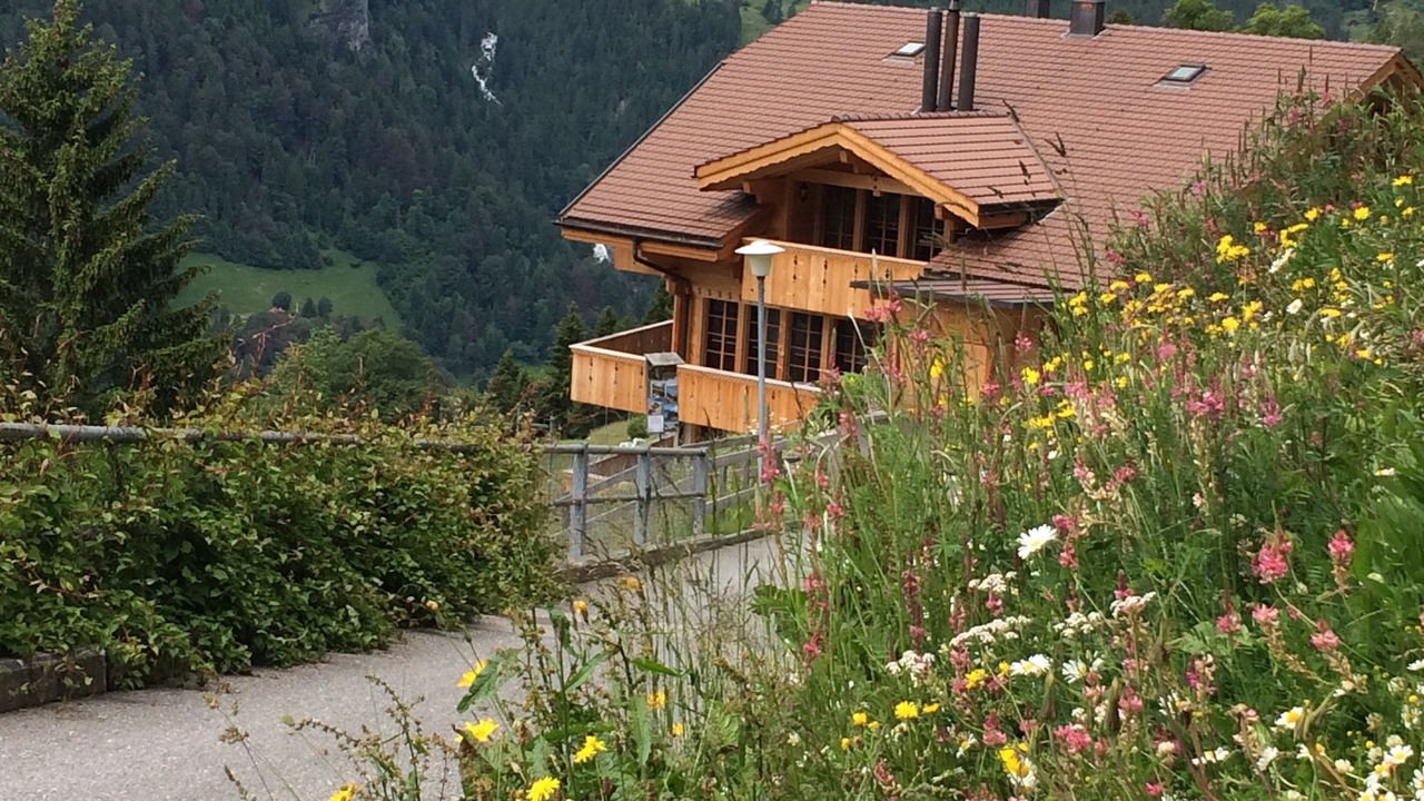Photo of Others in Wengen