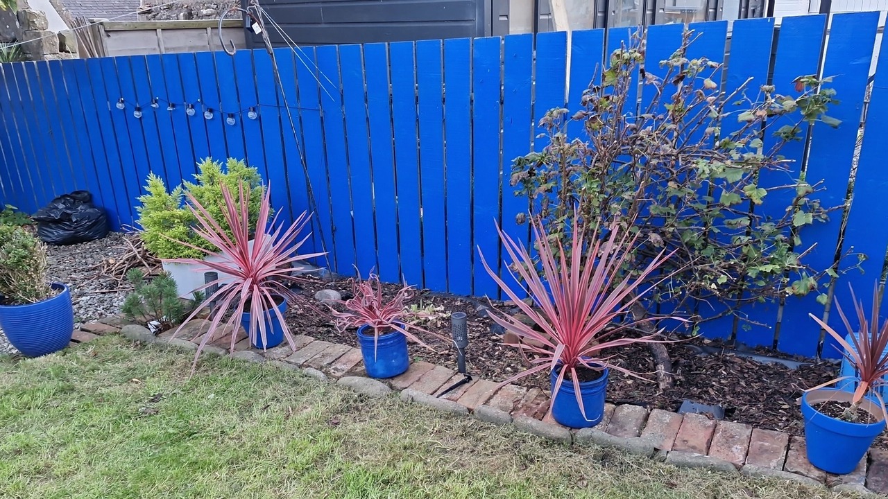 Photo of Outdoor in Johnshaven