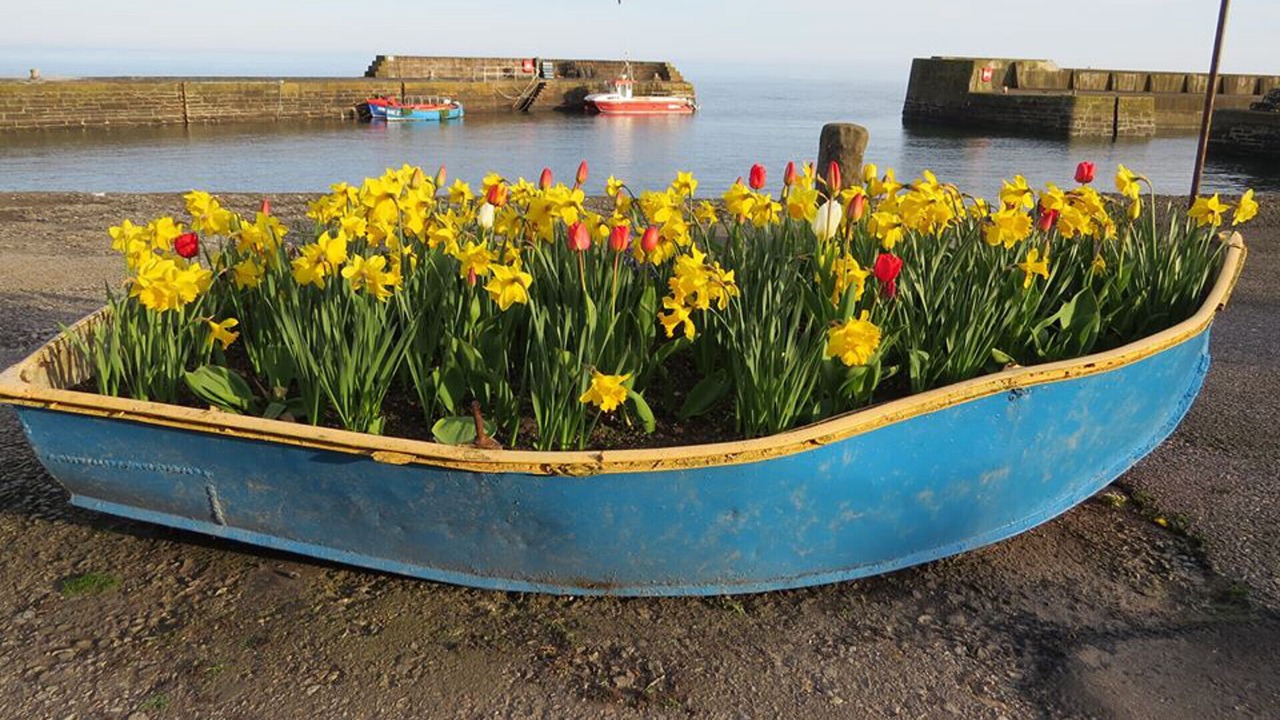 Photo of Others in Johnshaven