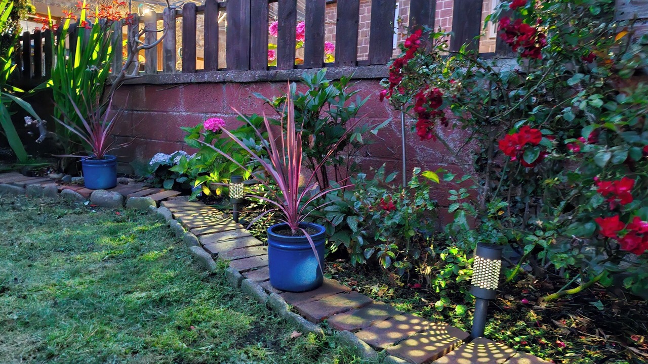 Photo of Outdoor in Johnshaven