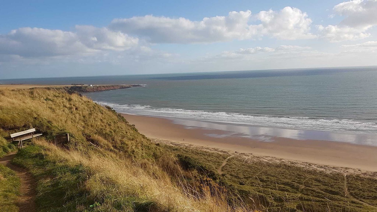 Photo of Others in Johnshaven