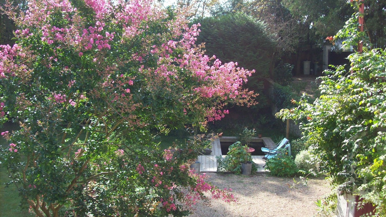 Photo of Outdoor in Saint-Avertin