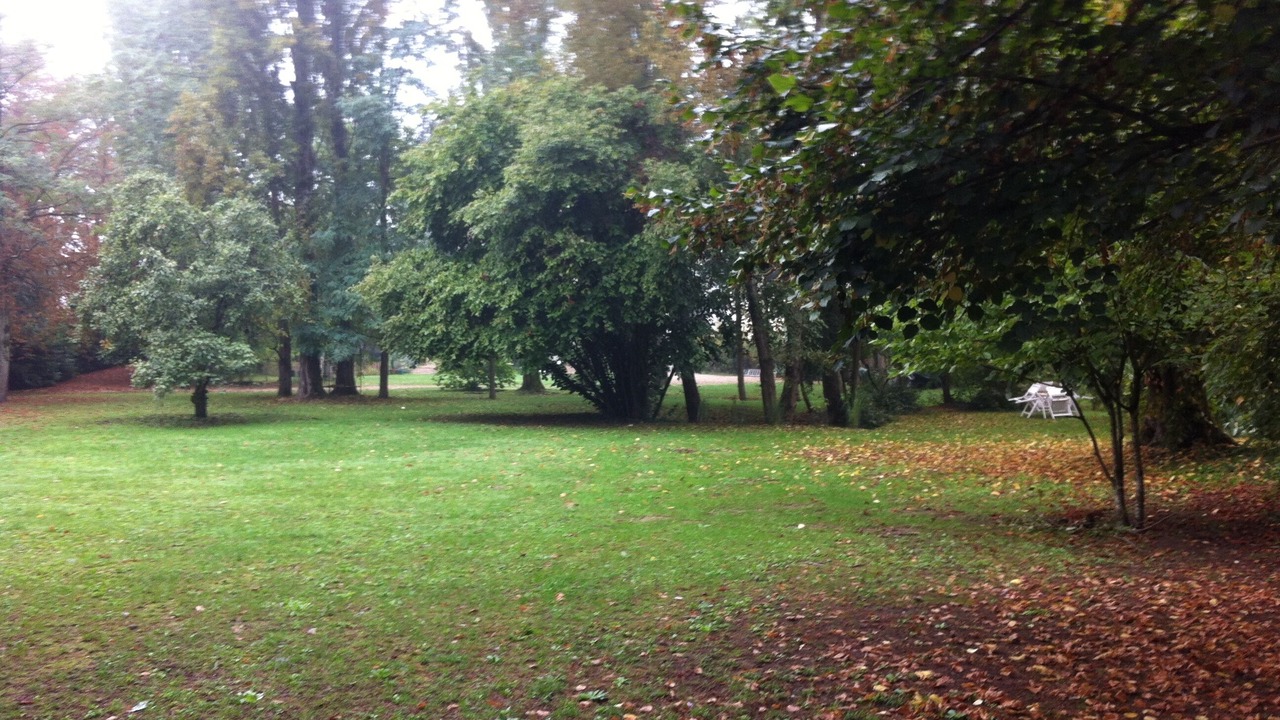Photo of Outdoor in Saint-Avertin