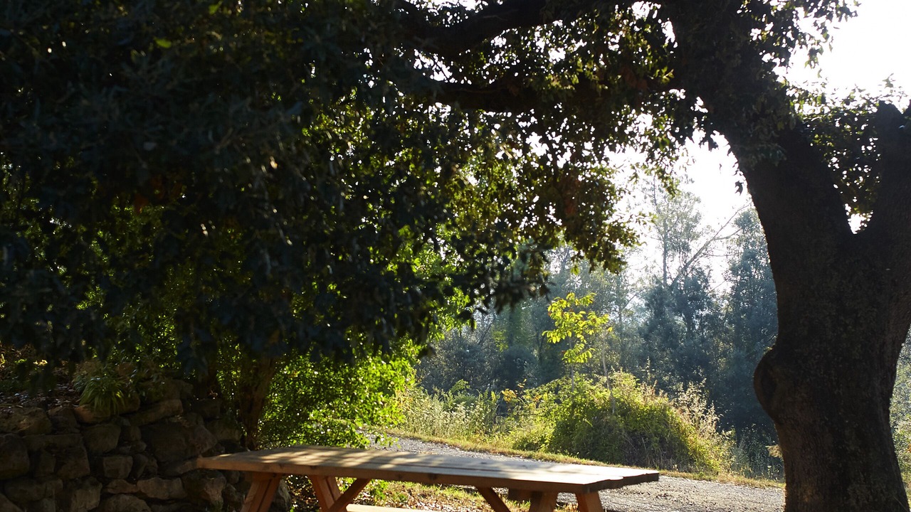 Photo of Outdoor in Vilademuls