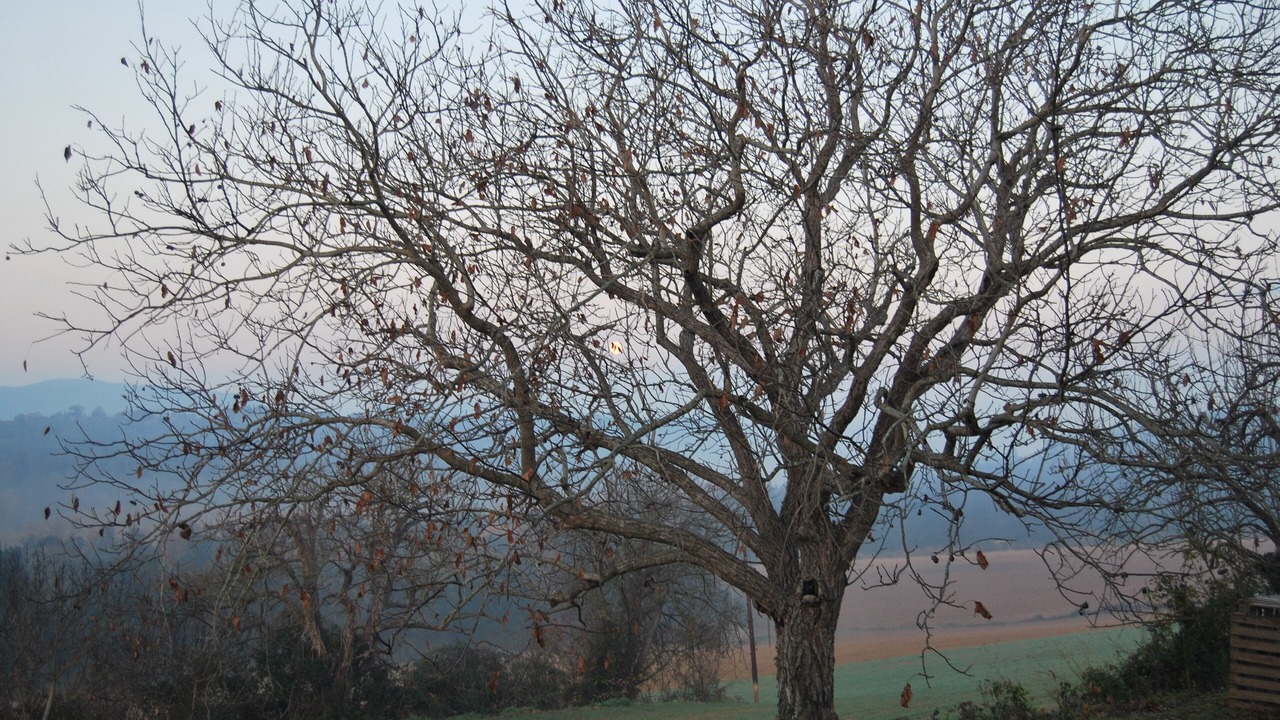 Photo of Outdoor in Vilademuls