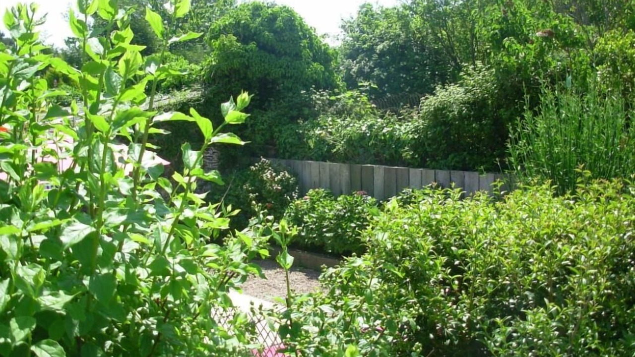 Photo of Outdoor in Cancale