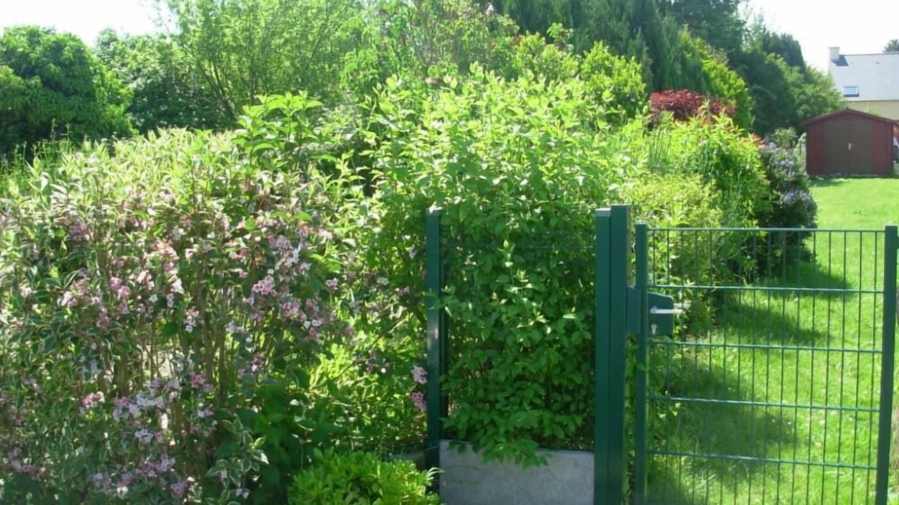 Photo of Outdoor in Cancale