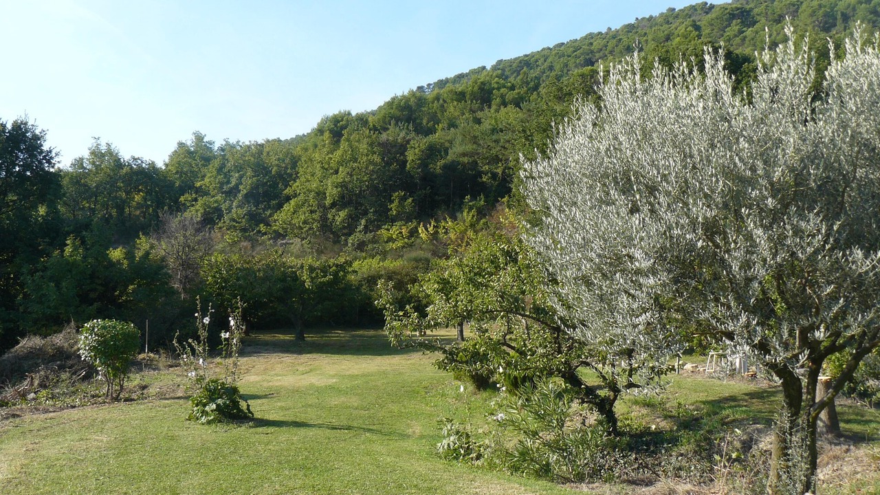 Photo of Outdoor in Crestet