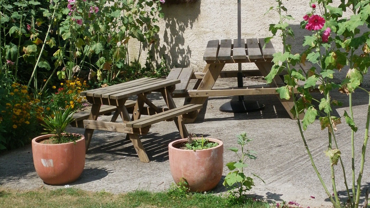 Photo of Others in Sainte-Gemme-la-Plaine