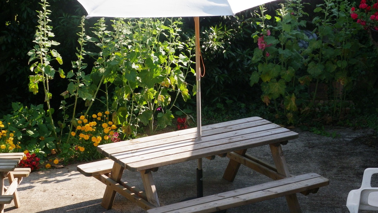 Photo of Outdoor in Sainte-Gemme-la-Plaine