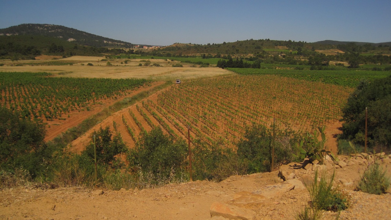 Photo of Others in Montseret