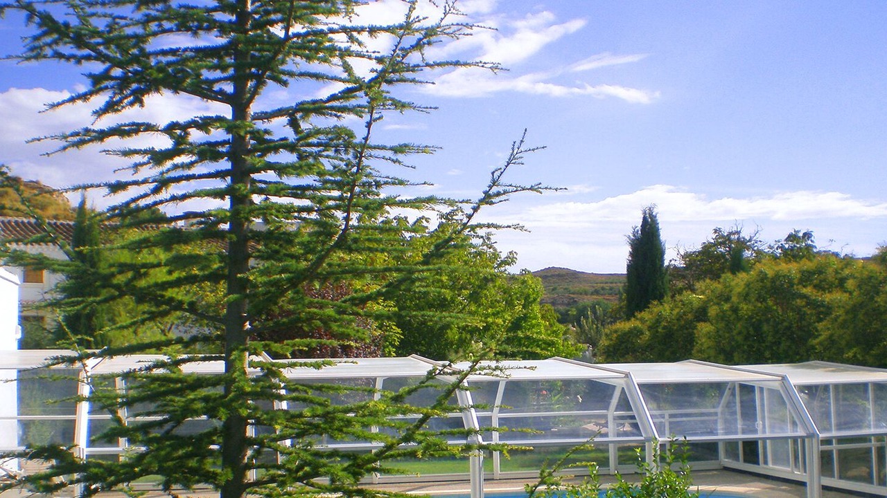 Photo of Outdoor in La Alqueria